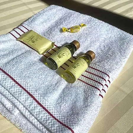 Alpine Base - Adults Only