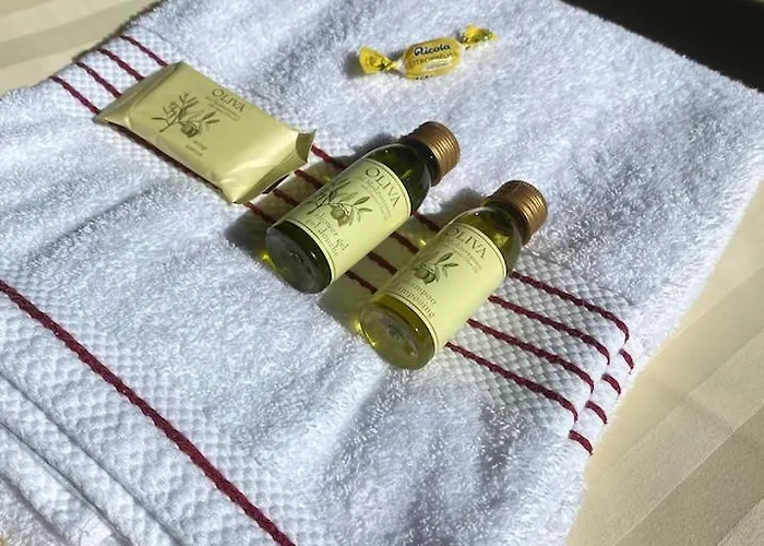 Alpine Base - Adults Only * 라우터브루넨