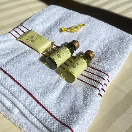 Alpine Base - Adults Only * Lauterbrunnen